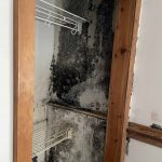 Mold Remediation in Northfield, MN