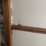 Mold Remediation in Northfield, MN