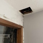 Mold Remediation in Northfield, MN